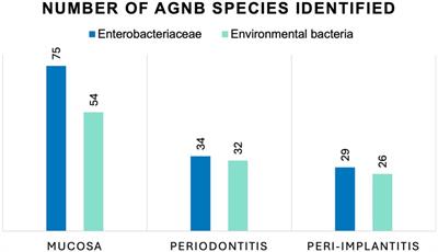 Antibiotic resistance among Aerobic Gram-Negative Bacilli isolated from patients with oral inflammatory dysbiotic conditions—a retrospective study